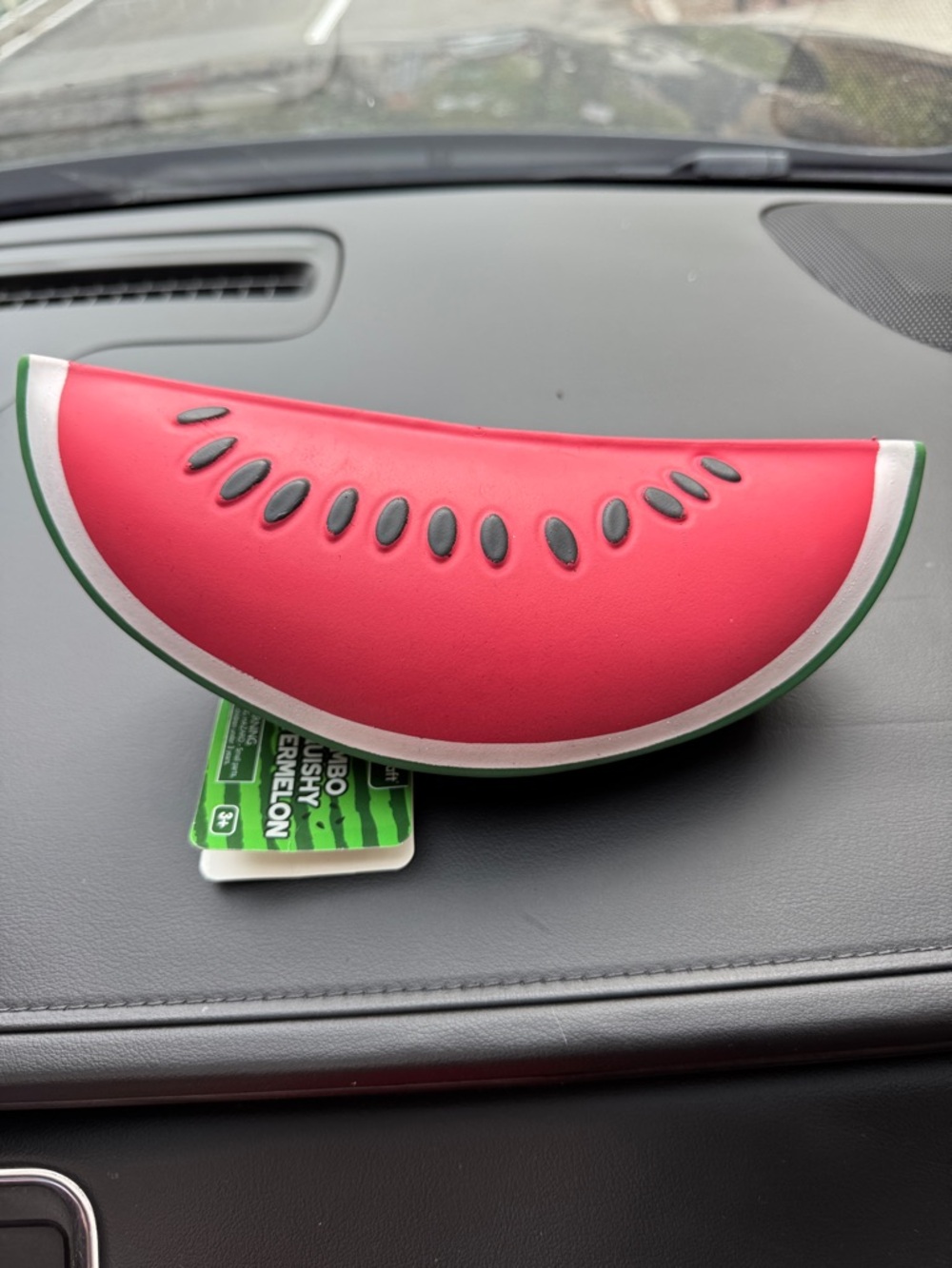 Watermelon Slice Sunglasses Case - Fun Red & Green Design